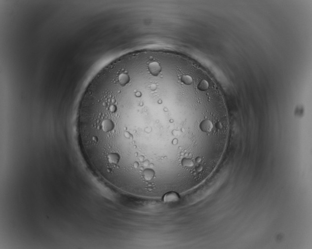 X0000103501375200809121728