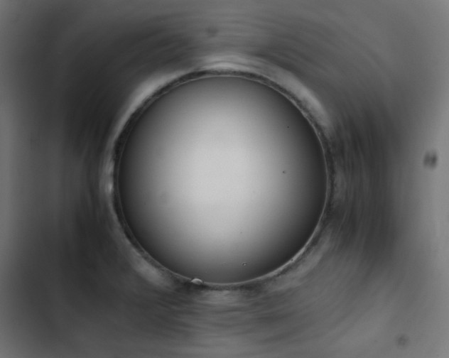 X0000103501376200809121728