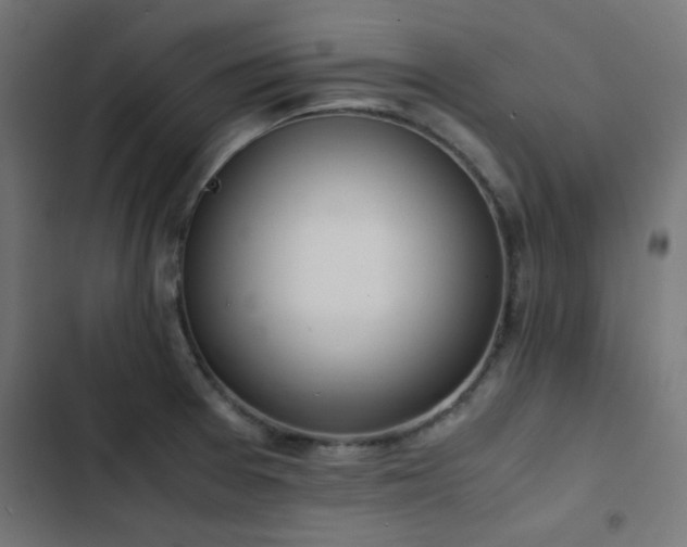 X0000103501377200809121728