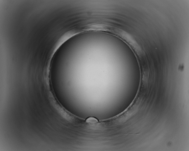 X0000103501378200809121728