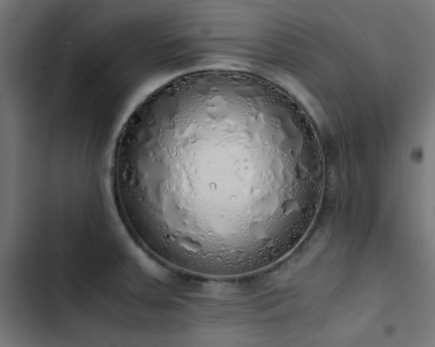 X0000103501379200809121728