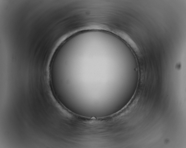 X0000103501380200809121728