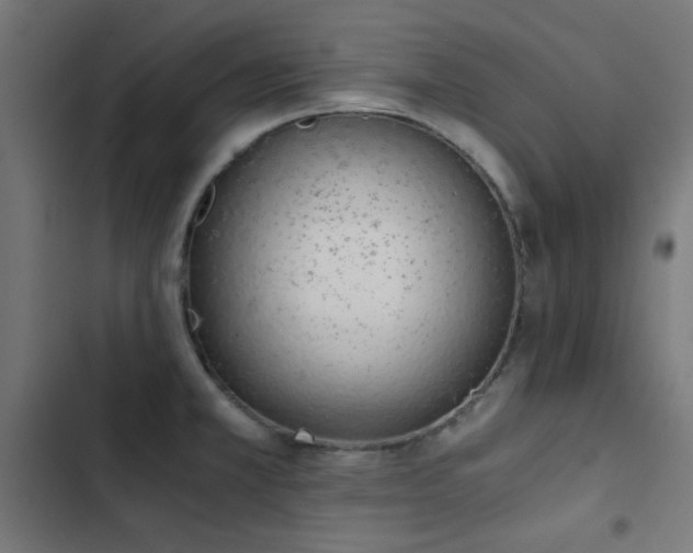 X0000103501381200809121728