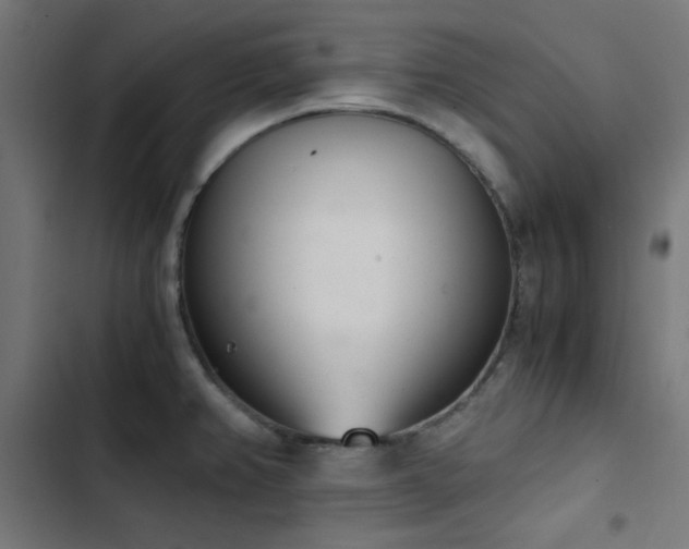 X0000103501382200809121728