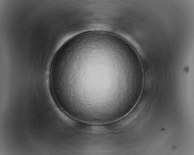 X0000103501383200809121728