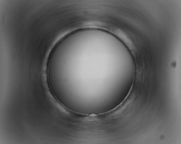 X0000103501384200809121728