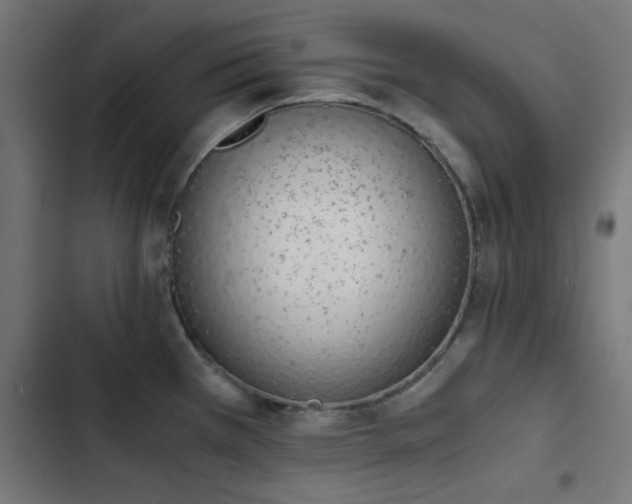 X0000103501385200809121728