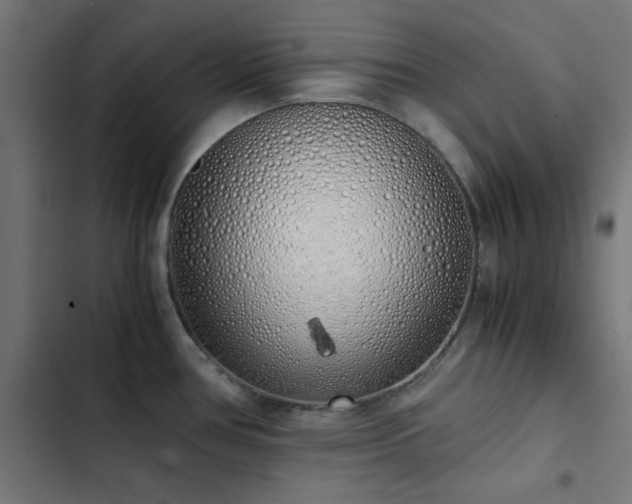 X0000103501386200809121728