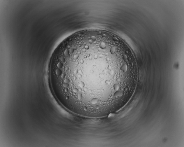 X0000103501387200809121728