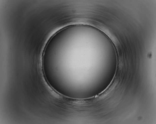 X0000103501388200809121728