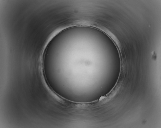 X0000103501389200809121728