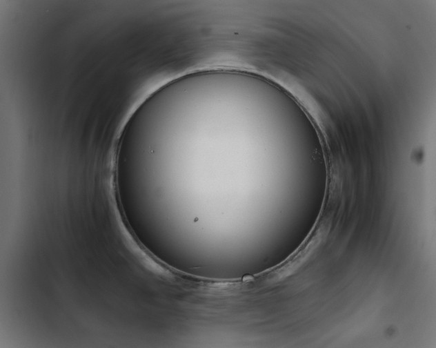 X0000103501390200809121728