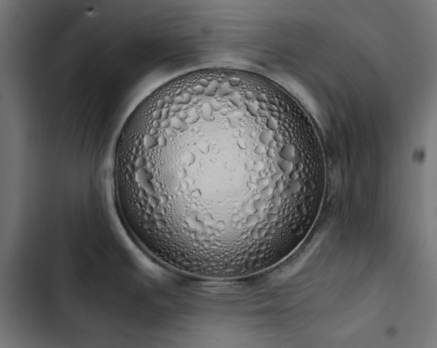 X0000103501391200809121728