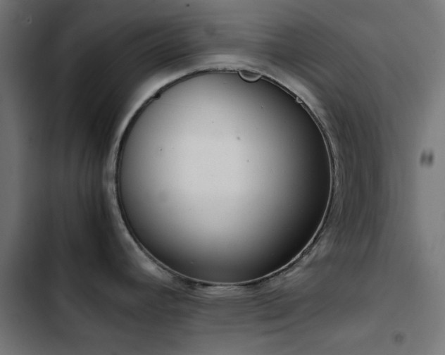 X0000103501392200809121728