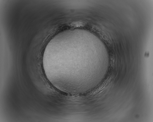 X0000103501393200809121728