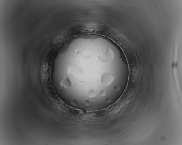 X0000103501394200809121728