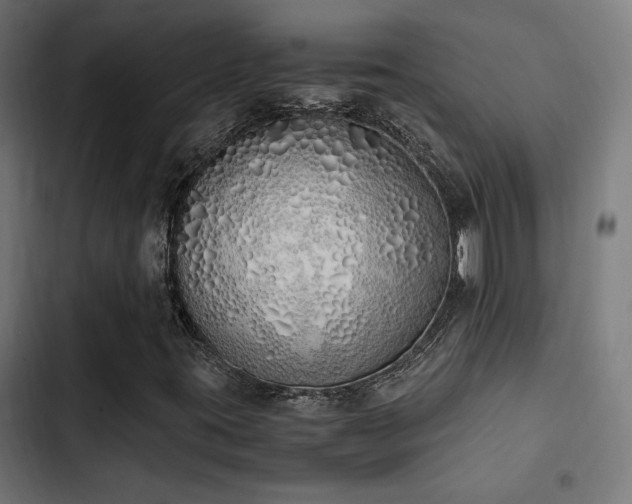 X0000103501395200809121728