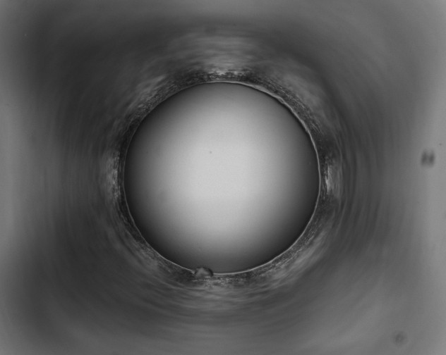 X0000103501396200809121728