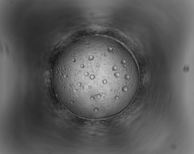 X0000103501397200809121728