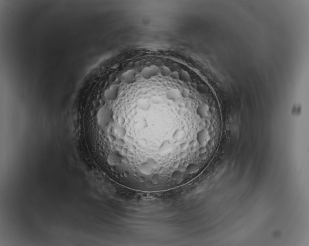 X0000103501398200809121728