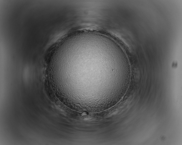 X0000103501399200809121728