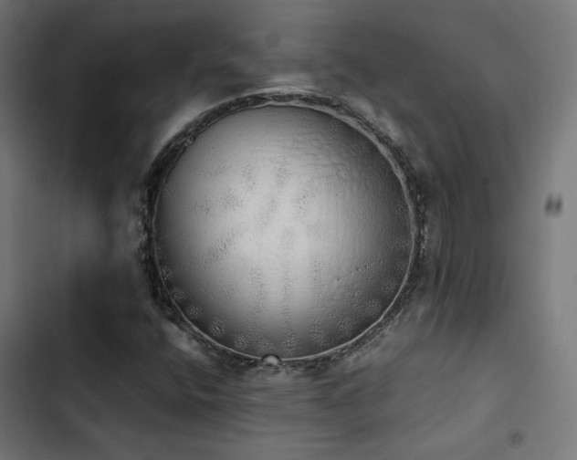 X0000103501400200809121728