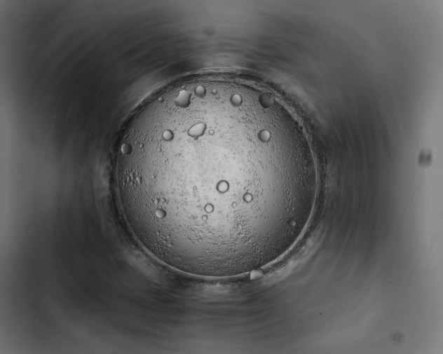 X0000103501401200809121728