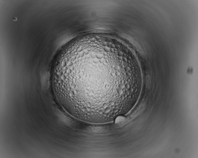 X0000103501402200809121728