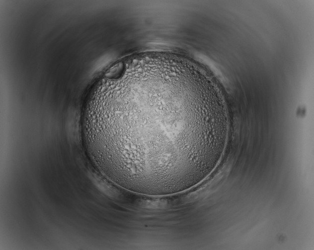 X0000103501403200809121728