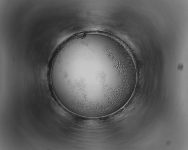 X0000103501404200809121728