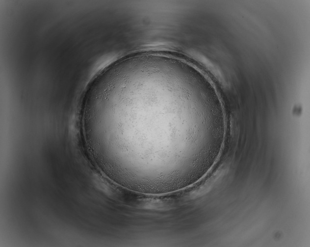 X0000103501405200809121728