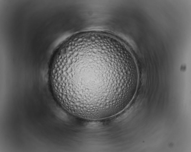 X0000103501406200809121728