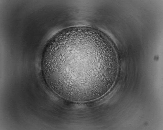 X0000103501407200809121728