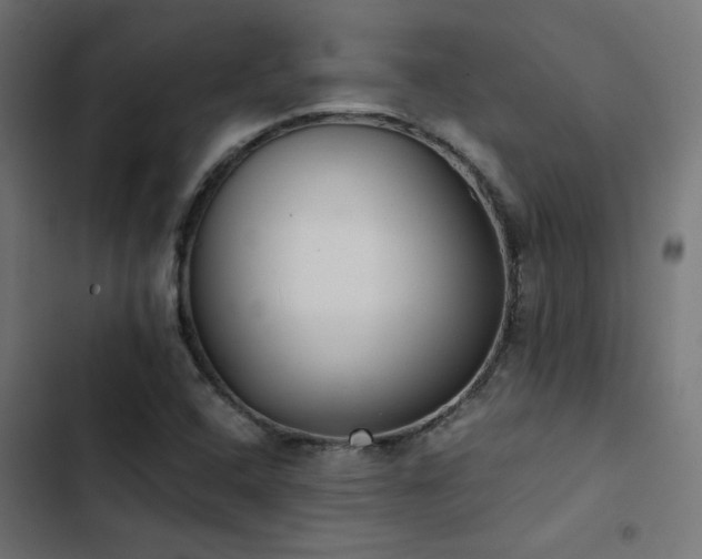 X0000103501408200809121728