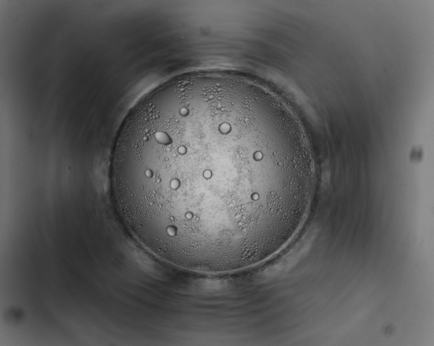 X0000103501409200809121728