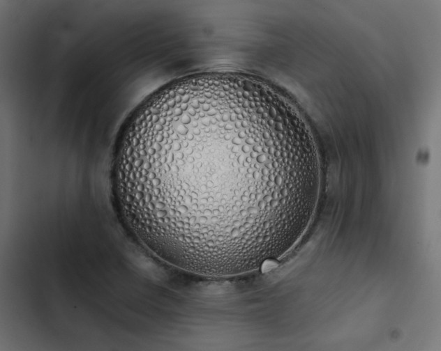 X0000103501410200809121728