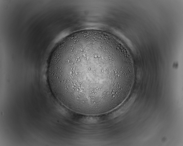 X0000103501411200809121728