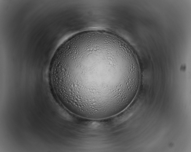 X0000103501412200809121728