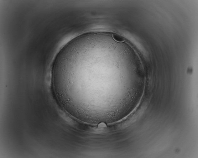 X0000103501413200809121728