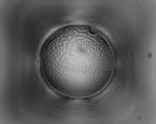 X0000103501414200809121728