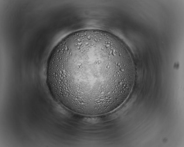 X0000103501415200809121728