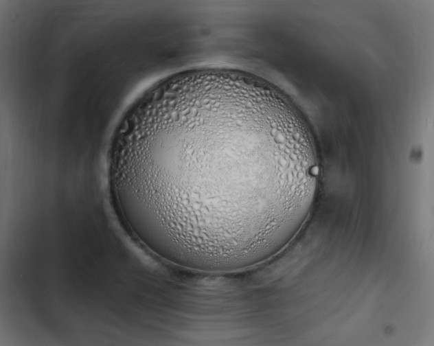 X0000103501416200809121728