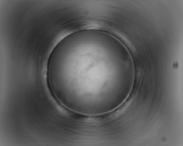 X0000103501418200809121728