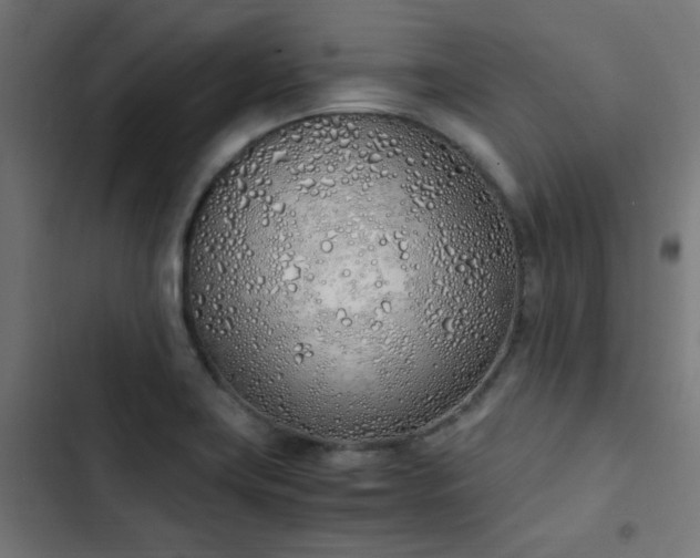 X0000103501419200809121728