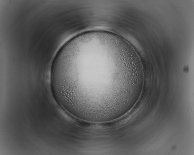 X0000103501420200809121728