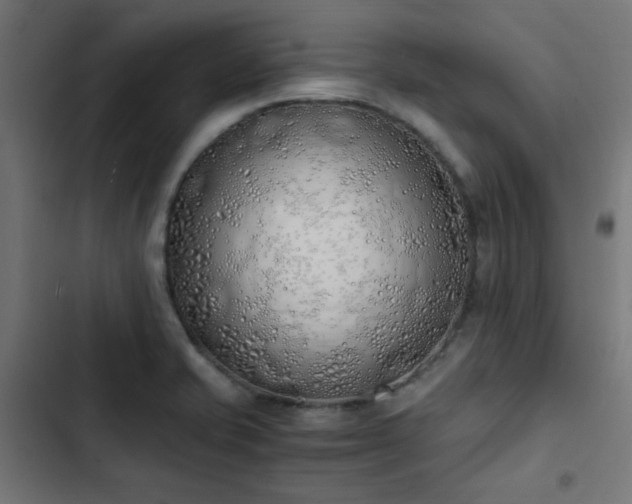 X0000103501421200809121728