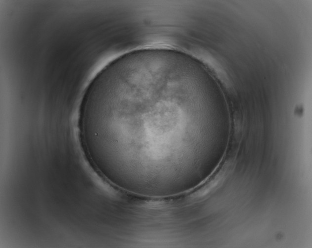 X0000103501422200809121728