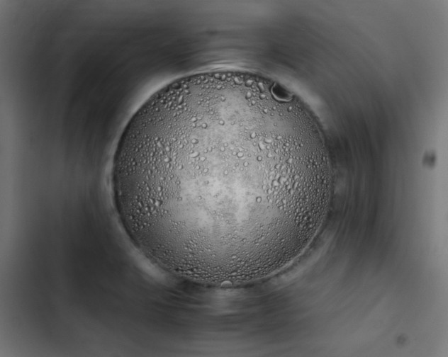 X0000103501423200809121728