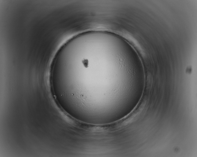 X0000103501424200809121728