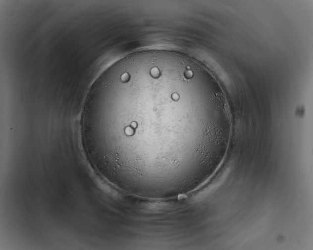 X0000103501425200809121728